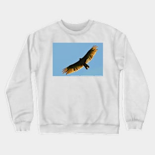 Turkey Buzzard 1 Crewneck Sweatshirt